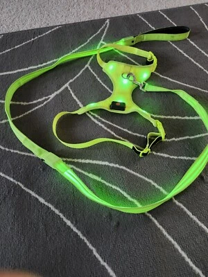 Светодиодная собачья упряжь и поводок с подсветкой USB перезаряжаемый питомец с подсветкой, средний размер - Изображение 1 из 4