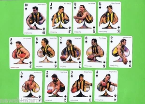 #D102. SPADE SUIT SET OF 1998 HAWTHORN HAWKS AFL PLAYING CARDS - Bild 1 von 2