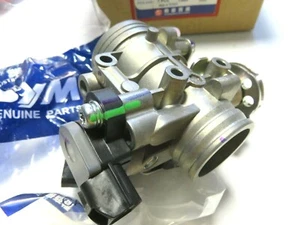 Casa rodante Sym GTS EVO 250 300 Joymax 250 original de lote antiguo 250 cuerpo acelerador asi 16401-l2e - Imagen 1 de 7