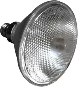 LSP [10-Pack] PAR38 E26 Based 45W 120V Flood Halogen Light Bulb Outdoor Lighting - Picture 1 of 1