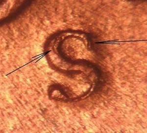 1945-S/S Repunched Mintmark (RPM) # 23 Lincoln Cent - Brilliant Uncirculated - Picture 1 of 6