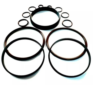 BMW SERIE 5 E39 535i / 540i 98-03 M62TU VANOS KIT DE REPARACIÓN SELLOS Y ANILLO CENTRADO - Imagen 1 de 6