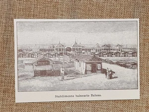 Viareggio nell'800 Stabilimento balneario Balena Lucca Toscana - Picture 1 of 1