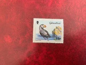 GIBRALTAR 1988 MNH BIRDS COMMON PUFFIN - Picture 1 of 1