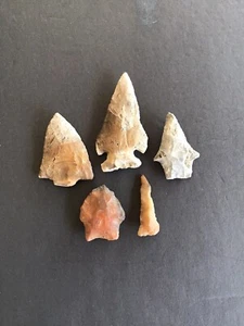 5- Lochloosa,Florida Indian Arrowheads H- 2 5/8in. - 1 1/2in. - Imagen 1 de 12