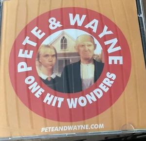 Pete & Wayne - One Hit Wonders - Explicit Lyrics - New CD - Picture 1 of 4