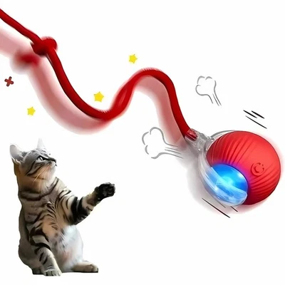 Juguete inteligente para perro gato automático bola rodante eléctrica mascota juego de gatito automóvil Foto 1 de 4