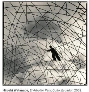 Hiroshi Watanbe, El Arbolito Park, Quito, Equador 2002. SILBERGELATINE 10X10 - Bild 1 von 3