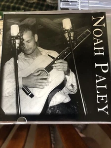 Noah Paley Sticks & Stones CD - Foto 1 di 2