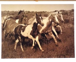 RICHARD DAWSON ,RUNNING  HORSES, - Picture 1 of 2