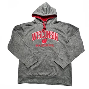 University of Wisconsin Badgers Champion Hoodie Mens Large Gray Embroidered logo - Picture 1 of 8