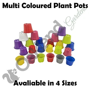 Multi Coloured Plastic Plant Pots Nursery Pot Multicoloured 9cm 10.5cm 13cm 14cm - Picture 1 of 36