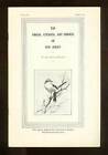 Leon Augustus Hausman / The Vireos Cuckoos And Shrikes Of New Jersey 1St Ed 1932