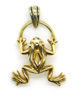 Colgante Rana Plata de Ley 925 México Firmado Sergio Bustamonte - Imagen 1 de 6