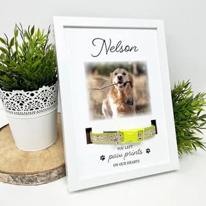A4 Hund Gedenk Bilderrahmen Haustier Gedenk Halsband Rahmen - Bild 1 von 6