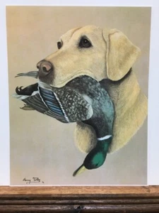 Harry Tollas Yellow Lab Labrador Dog & Mallard Duck Hunting 8 x 10 Art Print - Picture 1 of 1