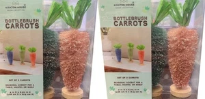 2 scatole Aldi trova Pasqua spazzola carote scatole Kirkton decorazione casa 6" - Foto 1 di 1