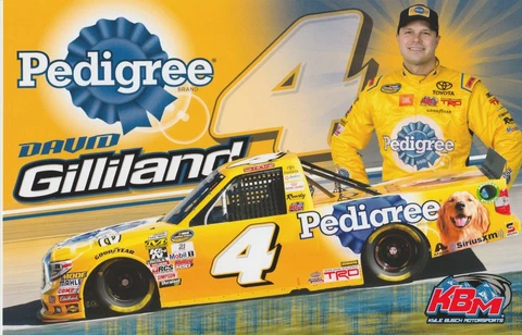 2018 David Gilliland Pedigree Toyota Tundra Daytona NASCAR CWTS B/B postcard Cover