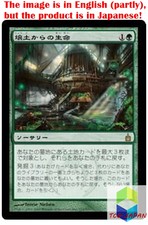 Magic: The Gathering MTG Jpver Foil Life from the Loam RAV Rare
