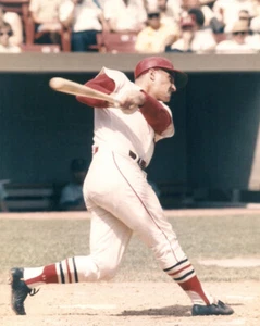 St. Louis Cardinals ROGER MARIS Glossy 8x10 Photo Baseball Poster Print - Picture 1 of 1