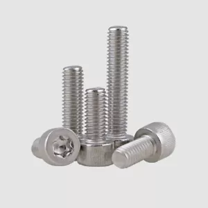 Tornillos de máquina de seguridad con tapa de cabeza de enchufe Torx M3 M4 M5-304 acero inoxidable - Imagen 1 de 6