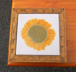 Holz gerahmte Sonnenblumenfliese Untersetzer Keramik Kunst Ceramica & Marco Italien - Bild 1 von 8
