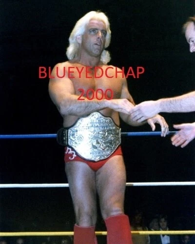 RIC FLAIR WRESTLER 8 X 10 WRESTLING PHOTO NWA WCW WWF - Image 1 of 1
