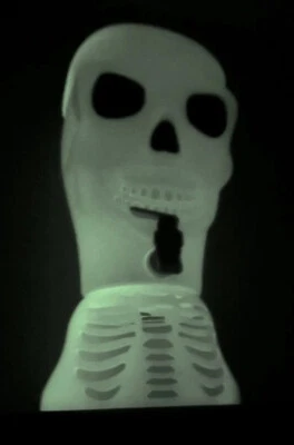 Dispensador de bebidas Halloween blanco esqueleto calavera brilla en la oscuridad 17" plástico Foto 1 de 4