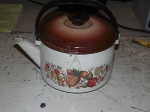 Vintage Enamel Enamelware Tea / Coffee Pot / Kettle - Apple Mushroom Grapes etc - Picture 1 of 10