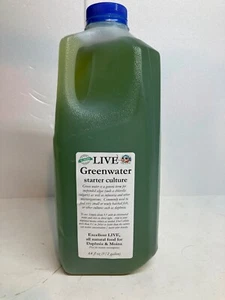 FULL GALLON Shipped FedEx 2 day Green water Chlorella for Daphnia, Moina - Picture 1 of 3