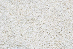 Pequeño caracol de arroz blanco natural con agujeros perforados - 001W - Imagen 1 de 1