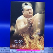 Takarafuji Daisuke Sumo Wrestler Trading Card BBM 2016 Rikishi TCG Japanese #85