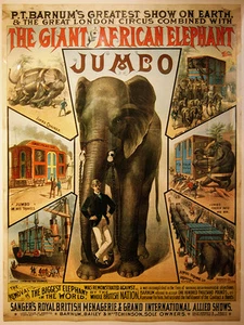 Jumbo Circo Elefante Vintage Stampa - Picture 1 of 1
