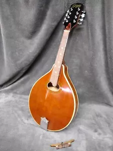 Goya Mandoline C F Martin Vintage massiver Stegkörper alt Nachlass Fund OS - Bild 1 von 18
