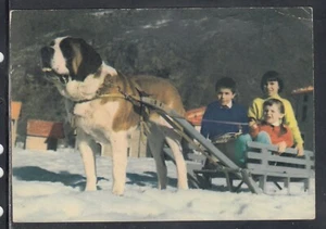 Cartolina Rovagnate Allevamento Alpino Cani S. Bernardo CL507A - Picture 1 of 1