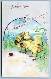 Postkarte um 1906 Osterküken schauen auf Marienkäfer C12 - Bild 1 von 2