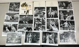 Disney Old Yeller Die unglaubliche Reise 1973 Original 16 Film Pressefotos - Bild 1 von 5