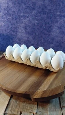 1 Dozen Faux Artificial Hollow 12 White Eggs Carton Easter Craft Home Staging - Image 1 of 4