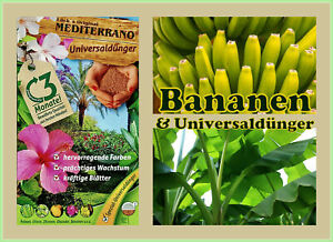 Bananendünger, Banana Tree / Musa Basjoo, Banana Fertilizer 2x 3 KG the Original