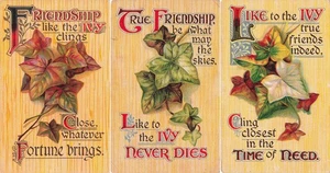 LOT OF 3 FRIENDSHIP LIKE IVY POSTCARDS 1911 CLINGS NEVER DIES TIME OF NEED 91825 - Picture 1 of 7