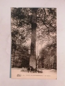 CPA 77 Forêt de FONTAINEBLEAU - Le Jupiter - Imagen 1 de 2