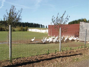 11 verschiedene Sorten Komplett Set Knotengeflecht Wildgatter Forstzaun Wildzaun - Bild 1 von 15
