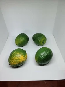 Lot of 4 Faux Limes Fake Artificial Fruit for home decor - Bild 1 von 2