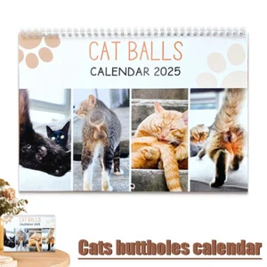 1PC 2025 Cat Balls Calendar 12 Monthly Funny Cats Calendar XMAS Gifts Gag Quirky - Picture 1 of 8