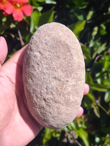Indian Artifacts Charmstone/Eggstone/ Plummet Northern California Ohlone Indians - Picture 1 of 7