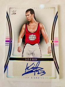 1 2 3 Kid 2024 Panini WWE National Treasures Autograph Auto X Pac Sean Waltman - Picture 1 of 1