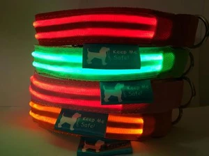 The Best Illuminated Night Time Safety Collar Dog Pet Pup USB Rechargeable - Picture 1 of 11