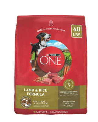 Purina ONE Plus Dry Dog Food, Real Protein Rich Natural Lamb&Rice Formula, 40 lb - Image 1 of 4