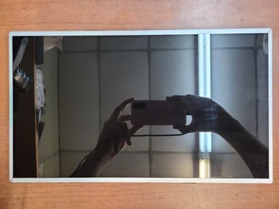 ORIGINAL GATEWAY NE56R41U Q5WTC 15.6" LCD SCREEN DISPLAY PANEL LP156WH4 (TL)(N2) - Image 1 of 4