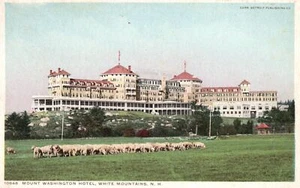 Postal de colección Mount Washington Hotel Lambs White Mountains New Hampshire NH - Imagen 1 de 2